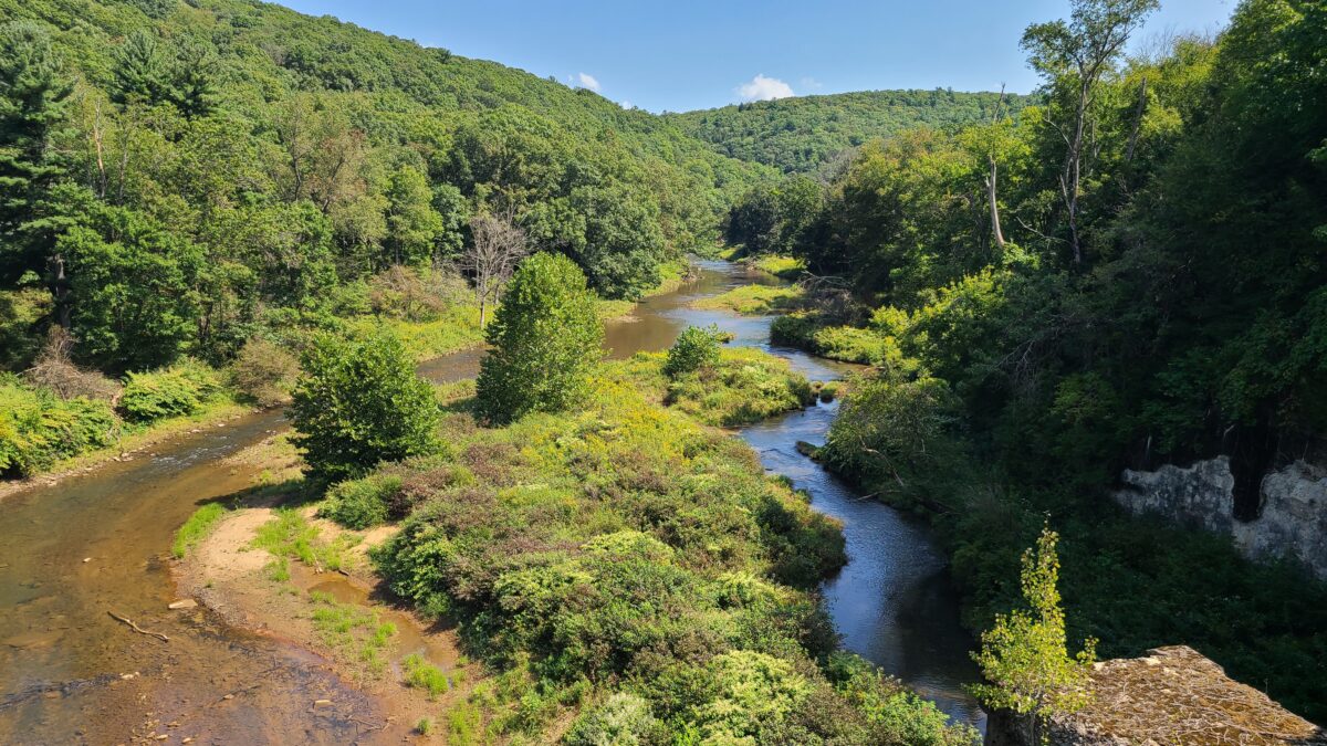East Sandy Creek flows through a heavily wooded valley, splitting in two smaller creeks along the way.