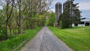 A wide, gravel bike path leads away between some grain silos on one side and a treeline on the other